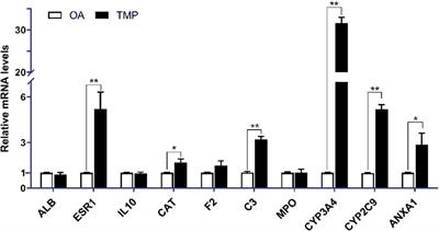 Exploring the mechanism of tetramethylpyrazine in the treatment of osteoarthritis based on network pharmacology